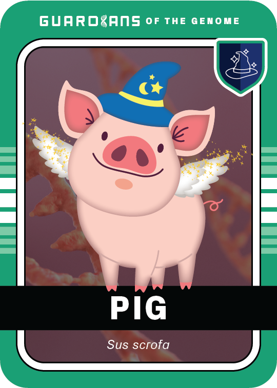 GENEWIZ Trading Cards | Guardians